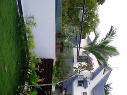 Shamrock Park (D10), Semi-Detached #467677751